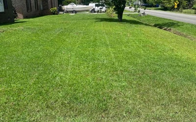 Photo of Ethan B.'s yard after getting lawn care in Dover, PA