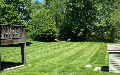 Photo of Craig W.'s yard after getting lawn care in Holt, MI