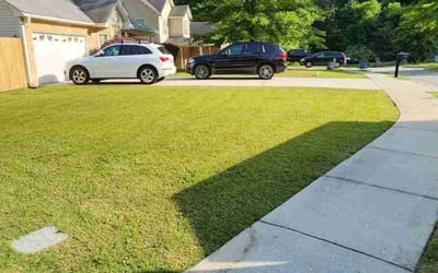 Photo of Pearl M.'s yard after getting lawn care in Hot Springs, AR