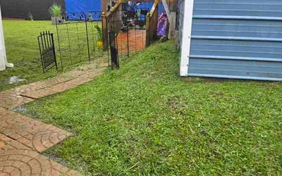 Photo of George H.'s yard after getting lawn care in Monroe, MI