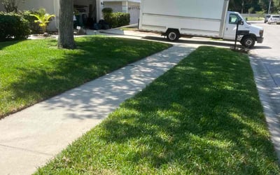 Photo of Adrian W.'s yard after getting lawn care in Pontiac, MI