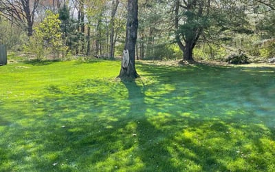 Photo of Kevin K.'s yard after getting lawn care in Glastonbury, CT