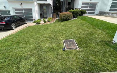 Photo of Paula P.'s yard after getting lawn care in Crowley, TX