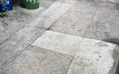 Photo of Heather F.'s yard after getting tree care in Independence, KY