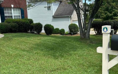 Photo of Rahmel M.'s yard after getting lawn care in Villa Rica, GA