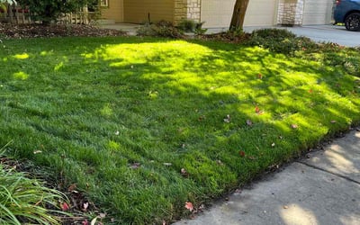 Photo of Andria K.'s yard after getting lawn care in Coeur D Alene, ID
