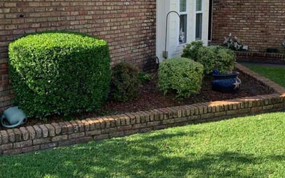 Photo of Stan E.'s yard after getting lawn care in Tulare, CA