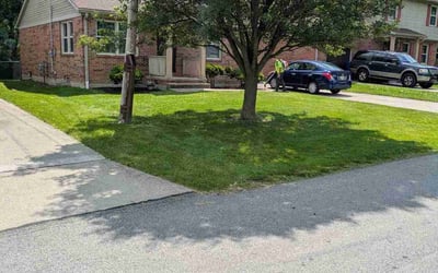 Photo of Michael H.'s yard after getting lawn care in Virginia Beach, VA