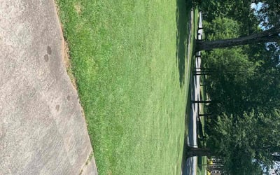 Photo of S B.'s yard after getting lawn care in Duluth, GA