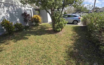 Photo of Brian N.'s yard after getting lawn care in Edwardsville, IL