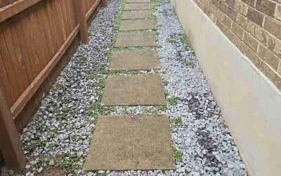 Photo of David J.'s yard after getting lawn care in San Leandro, CA
