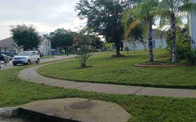 Photo of Susan M.'s yard after getting lawn care in Cleveland, TX