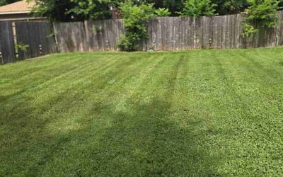 Photo of Megan J.'s yard after getting lawn care in Wichita, KS