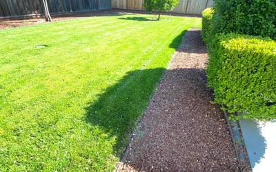 Photo of Karen S.'s yard after getting lawn care in Dublin, CA