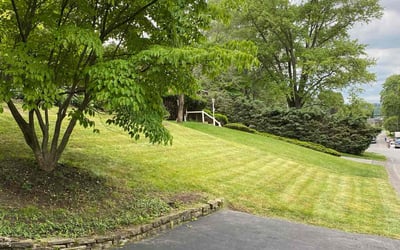 Photo of Cameron H.'s yard after getting lawn care in Carnegie, PA