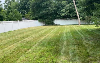 Photo of Yolanda B.'s yard after getting lawn care in Hazlet, NJ