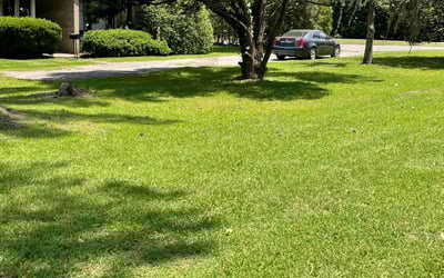Photo of Billie W.'s yard after getting lawn care in Yucaipa, CA