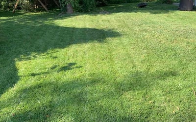 Photo of Kyle T.'s yard after getting lawn care in Galveston, TX