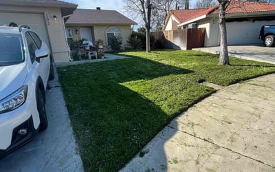 Photo of Stephanie A.'s yard after getting lawn care in Los Banos, CA