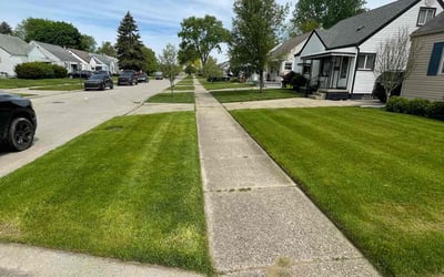 Photo of Aurora B.'s yard after getting lawn care in Clarkston, MI