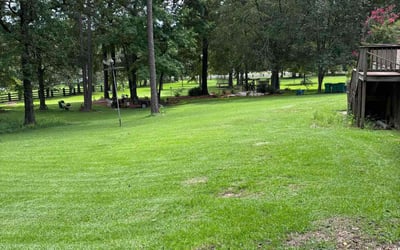 Photo of Jeremy M.'s yard after getting lawn care in Evans, GA