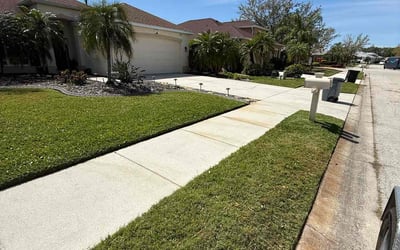 Photo of Alexa B.'s yard after getting lawn care in Palmetto, FL