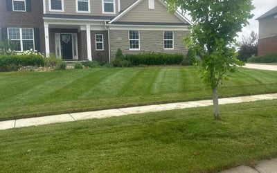 Photo of Kailand P.'s yard after getting lawn care in South Haven, MI