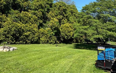 Photo of Donna G.'s yard after getting lawn care in Ballwin, MO