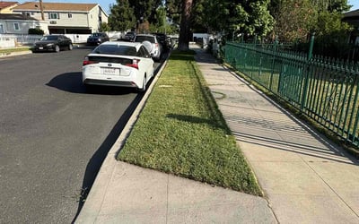 Photo of Becca L.'s yard after getting lawn care in Woodstock, GA