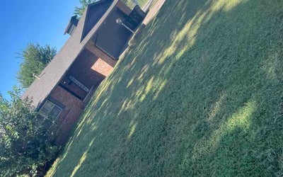 Photo of James N.'s yard after getting lawn care in Harrison, OH