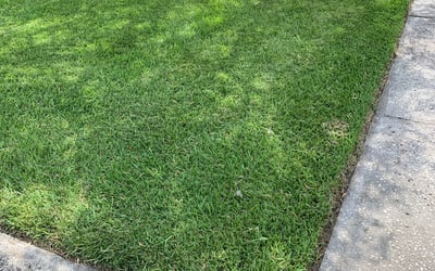Photo of Marie M.'s yard after getting lawn care in Wyckoff, NJ