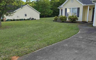 Photo of Steve A.'s yard after getting lawn care in Williamston, SC