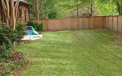 Photo of Mary Ann S.'s yard after getting lawn care in Madison, MS