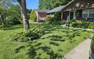 Photo of Lydia C.'s yard after getting lawn care in High Point, NC