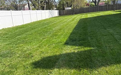 Photo of Eric C.'s yard after getting lawn care in Lawrence Township, NJ