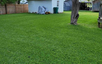 Photo of Garrett p.'s yard after getting lawn care in Siler City, NC