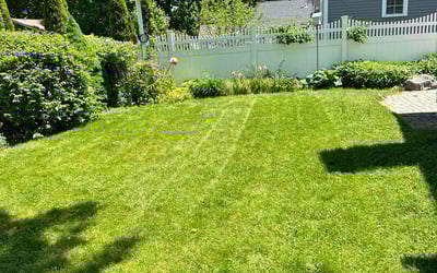 Photo of Monica E.'s yard after getting lawn care in Wells, ME