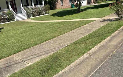 Photo of Catherine C.'s yard after getting lawn care in Farmington, CT