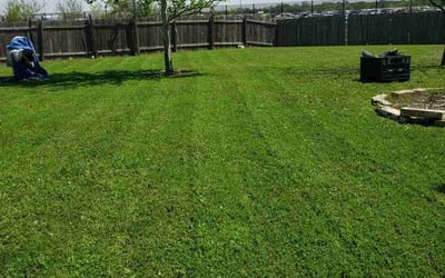 Photo of Alex H.'s yard after getting lawn care in Cincinnati, OH