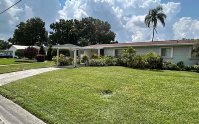 Photo of Kate B.'s yard after getting lawn care in Citrus Park, FL