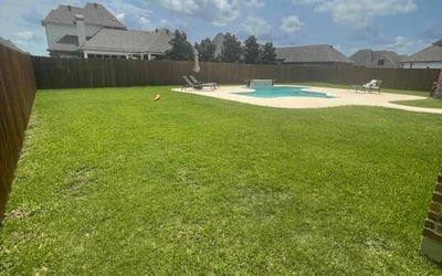 Photo of Rose M.'s yard after getting lawn care in Saint Martinville, LA