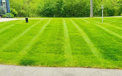 Photo of Isaac R.'s yard after getting lawn care in New Richmond, WI