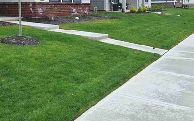 Photo of Vanessa P.'s yard after getting lawn care in Westfield, IN