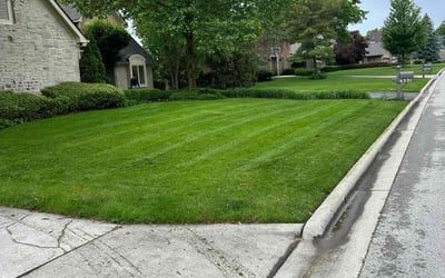 Photo of Archie B.'s yard after getting lawn care in Modesto, CA
