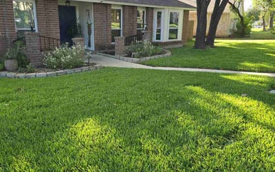 Photo of Cynthia A.'s yard after getting lawn care in San Antonio, TX