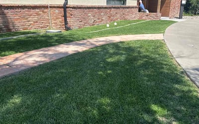 Photo of Patricia L.'s yard after getting lawn care in Albuquerque, NM