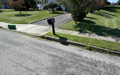 Photo of Maritza V.'s yard after getting lawn care in Monroe, NY