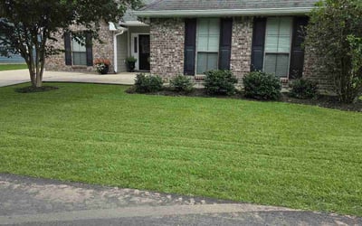 Photo of Beaula C.'s yard after getting lawn care in Denham Springs, LA