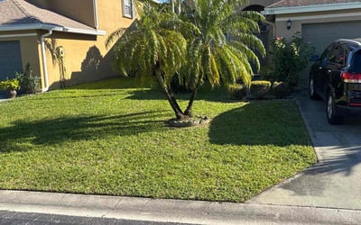 Photo of Jeanette K.'s yard after getting lawn care in Belle Glade, FL