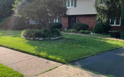Photo of Dexter M.'s yard after getting lawn care in McLean, VA
